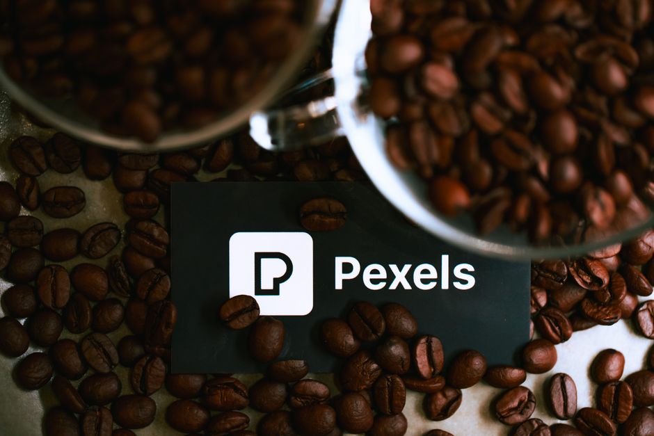 How to Start a Loyalty Program for a Restaurant or Café