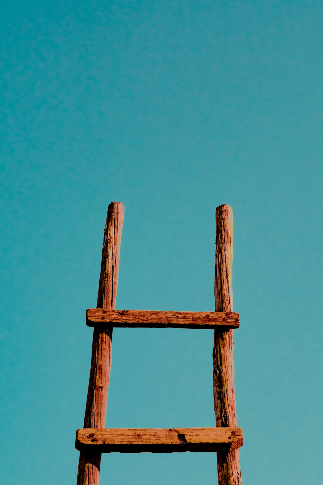 Tiered referral programs