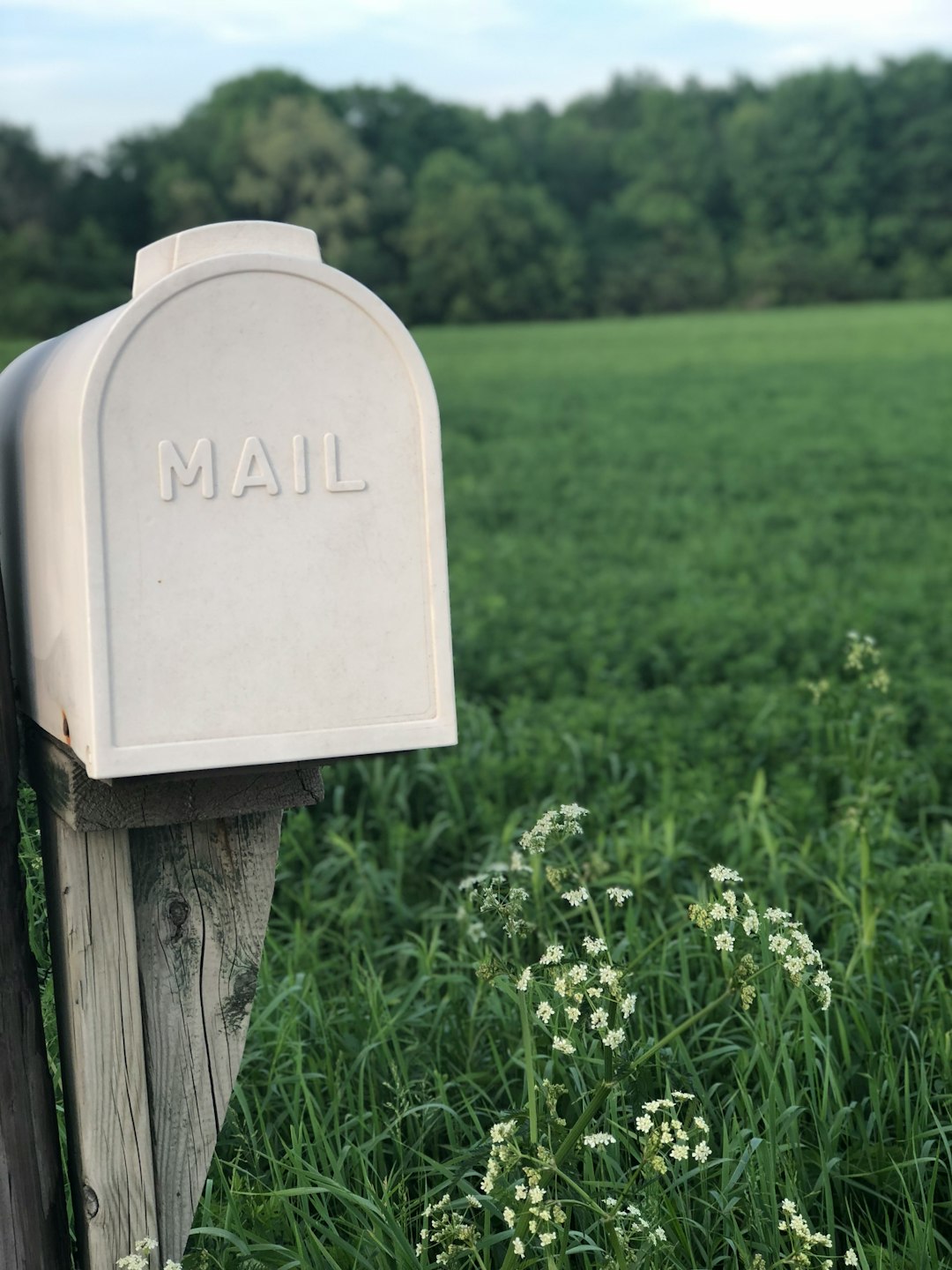 Direct mail postcard campaign