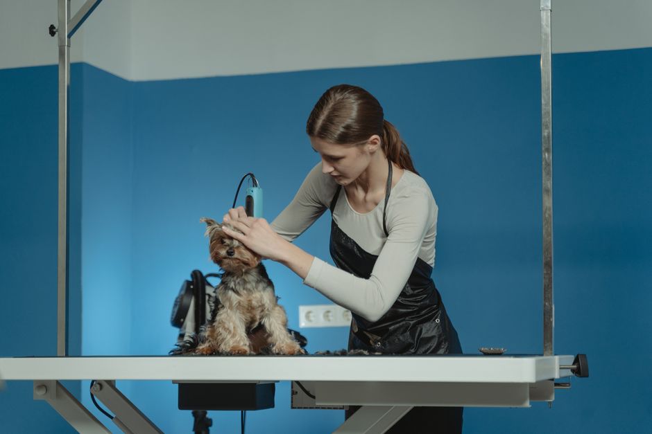 Pet Grooming Referral Program
