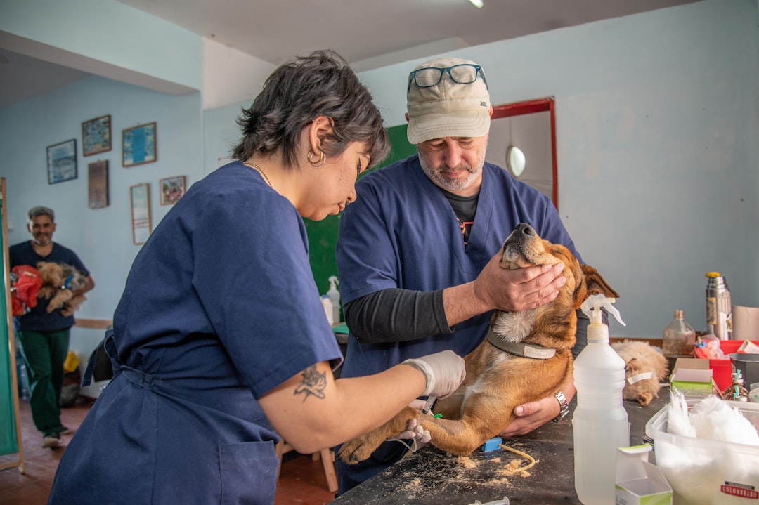Veterinary Clinic Referral Programs